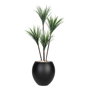 Artificial Dracaena Tree with Paula Pot