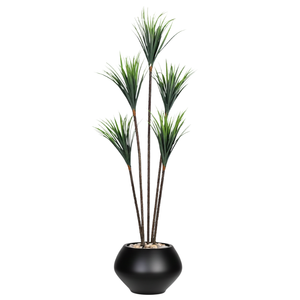 Artificial Dracaena Tree with Paula Pot