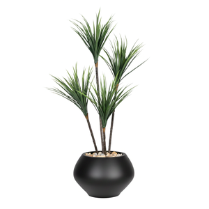 Artificial Dracaena Tree in Kora Planter