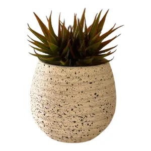 نبات النجمة الصناعي مع وعاء تيرازو