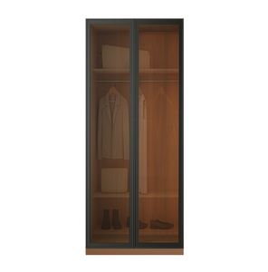 Beyla Glass and Metal Doors Hinged Wardrobe