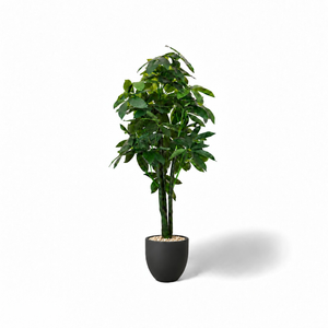 Potted Artificial Money Tree In Curve Pot