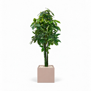 Realistic Artificial Money Tree In Cube Pot