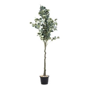 Artificial Eucalyptus Tree