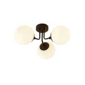 Ceiling Lamp - Black And White - YL1098
