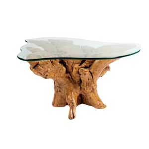 Amazons Root Coffee Table