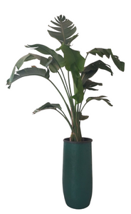 Augusta with Teal Fiberglass Pot