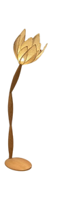 إضاءة أرضية الزهرة