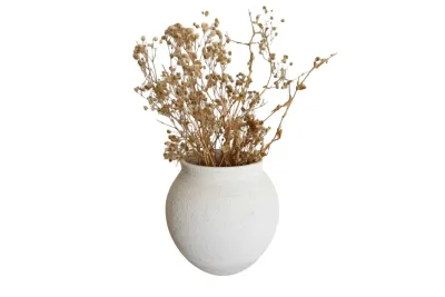 فازة لاروز