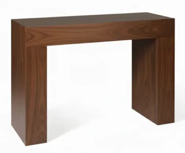 Minimalist Rectangular Console in Walnut Finish