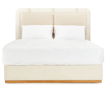 Eliana Shades Fully Upholstered Bed With Storage Mechansim