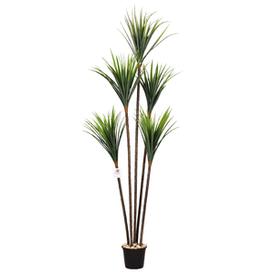 Artificial Dracaena Tree