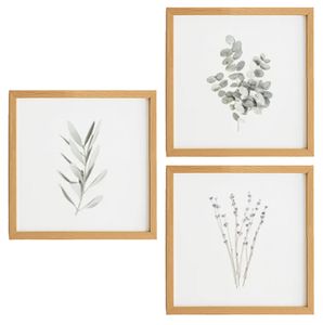 Branches Prints (Set of 3)