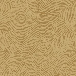 Celestial Seashells Wallpaper