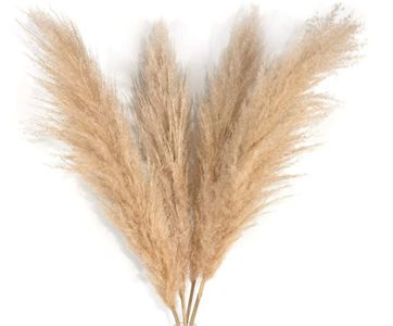 Artificial Pampas Grass - 5 Stems