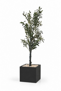 Modern Artificial Olive Tree In Cube Pot