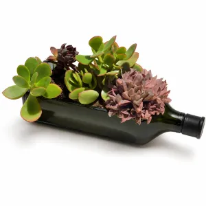 Planter
