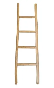 Delano Decorative Ladder