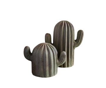 Kaktus Duo Pottery Set