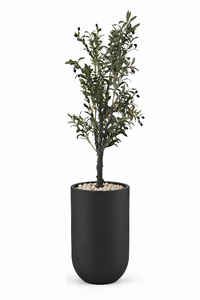 Olive Artificial Tree In Luna Pot