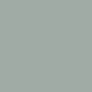 6387 Iconic Paint (Muted Mint)