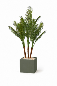 Artificial Phoenix Trio In Cube Pot