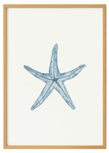 Watercolor Seastar Print