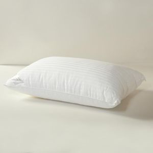 مخدة إحساس الريش