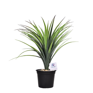 Artificial Dracaena plant 60 cm