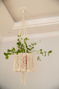 Circle Hanging Planter
