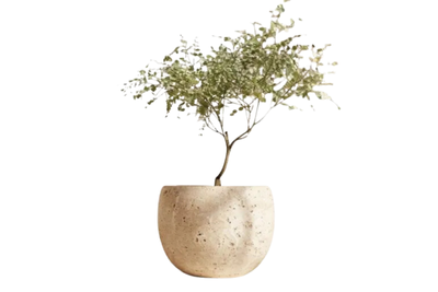Oval Fiberglass Pot