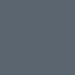 S 6010 - R 90 B Paint