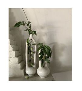 vases