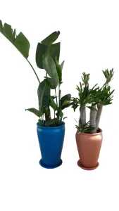 Strelizia Madagascar Duo Large Outdoor Set