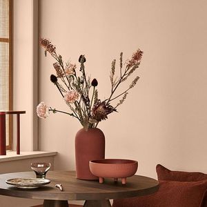 12120 Desert Pink Paint