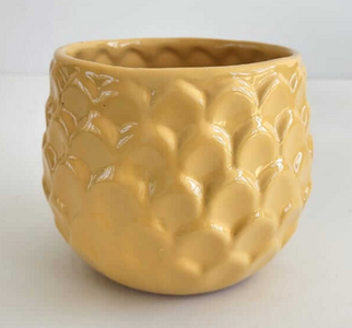 Fish Scale Pot
