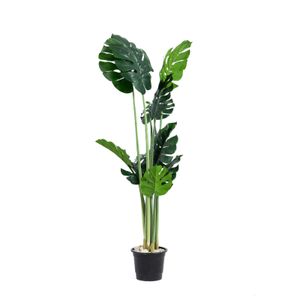 Artificial Fijka Plant