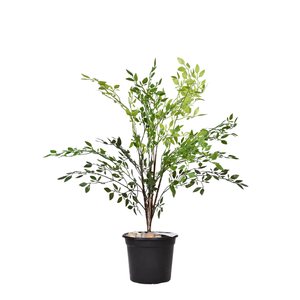 Artificial Ficus benjamina branch 50 cm