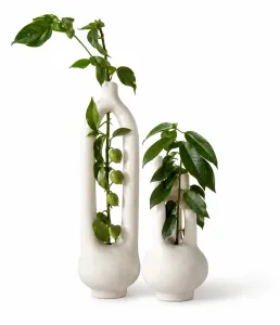 vases