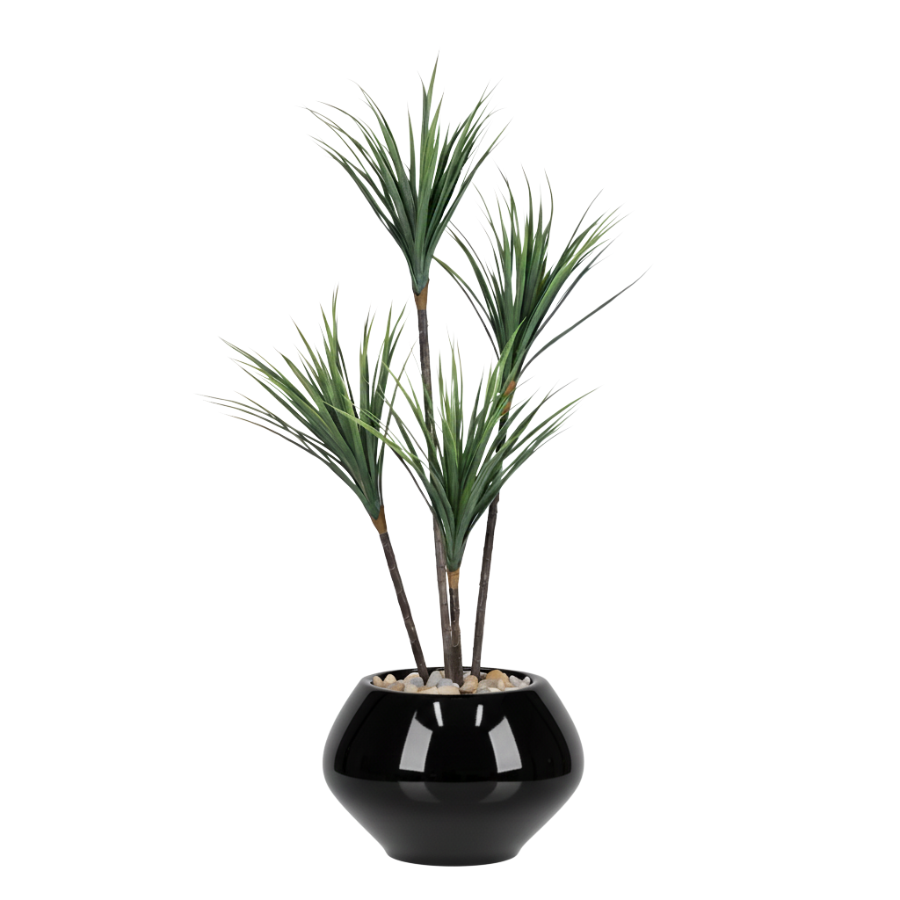 Artificial Dracaena Tree in Kora Planter