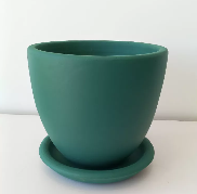 Miniature Strelitzia in Plant Pot 18