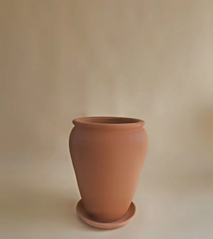 قصرية زرع طويلة 4