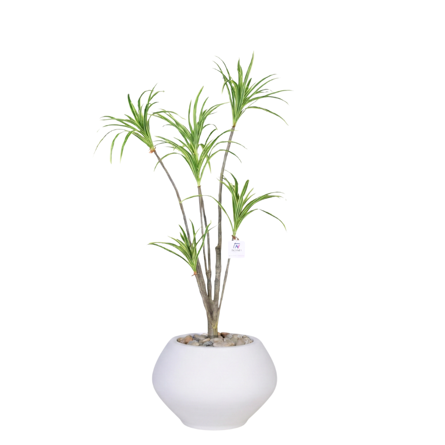 Artificial Dracaena Riki Tree with Kora Pot