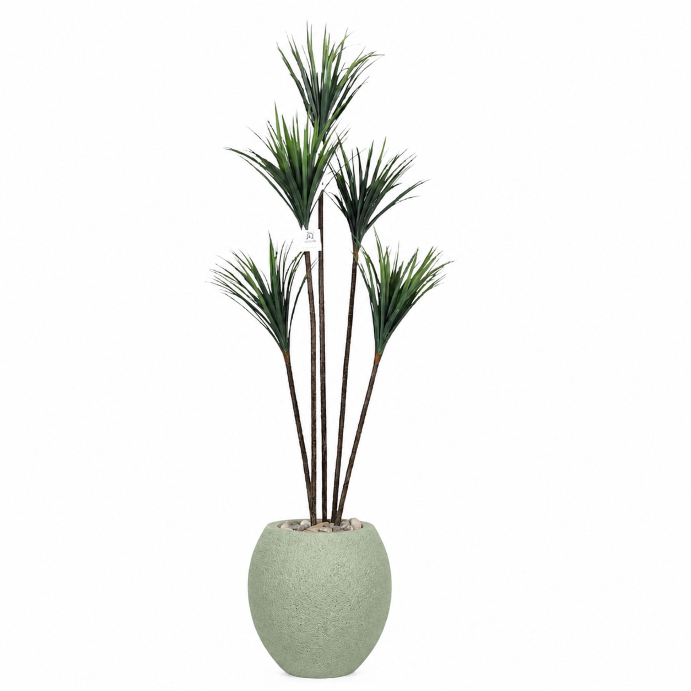 Artificial Dracaena Tree with Paula Pot