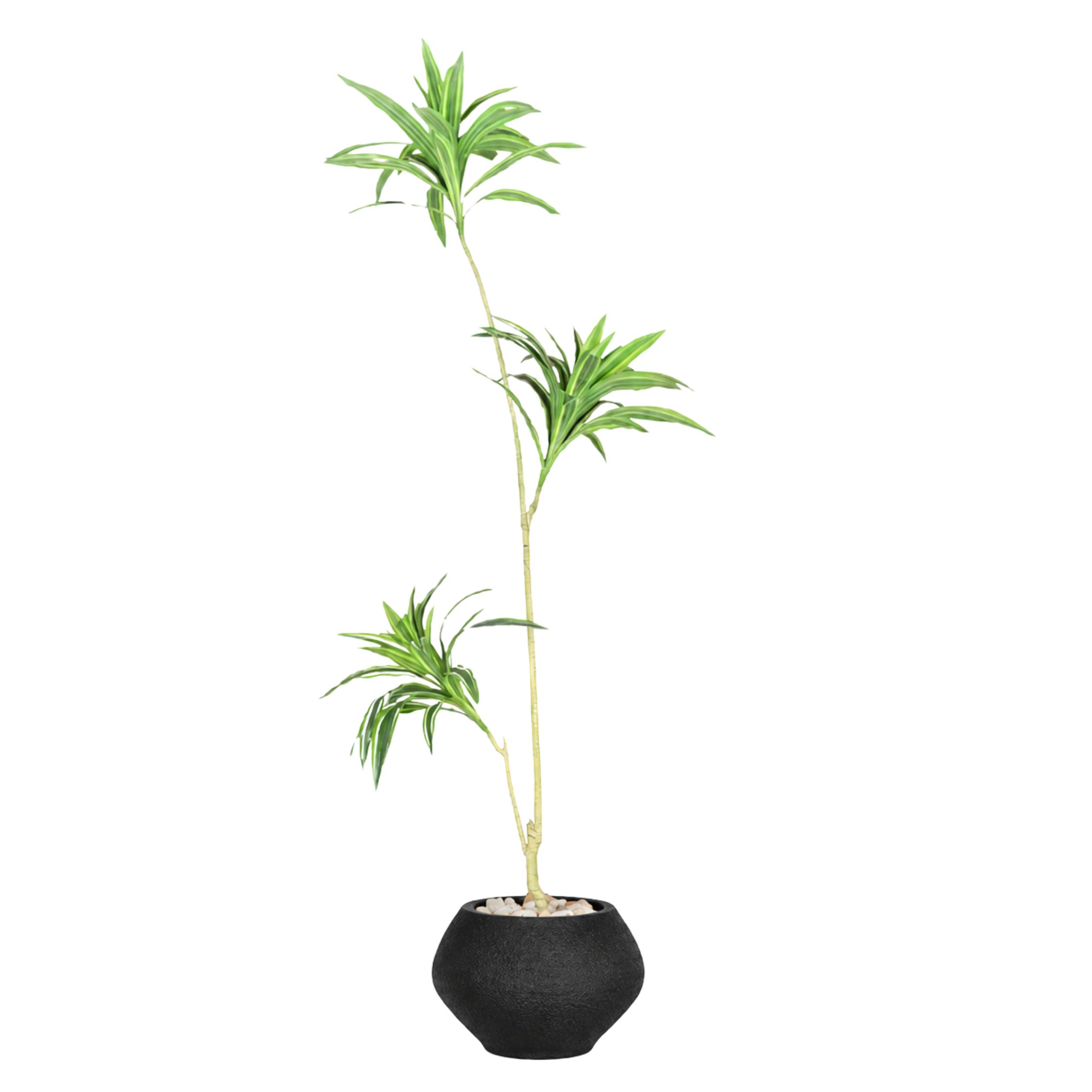 Artificial Dracaena Song of India Tree With Kora Pot