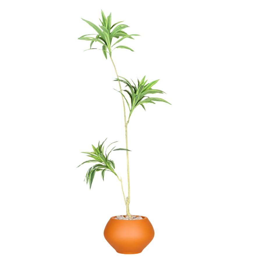 Artificial Dracaena Song of India Tree With Kora Pot