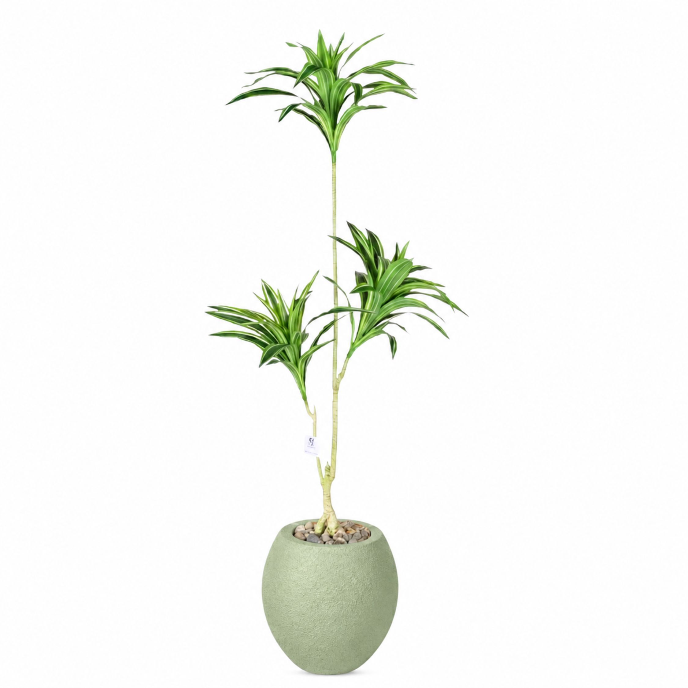 Artificial Dracaena Song of India Tree