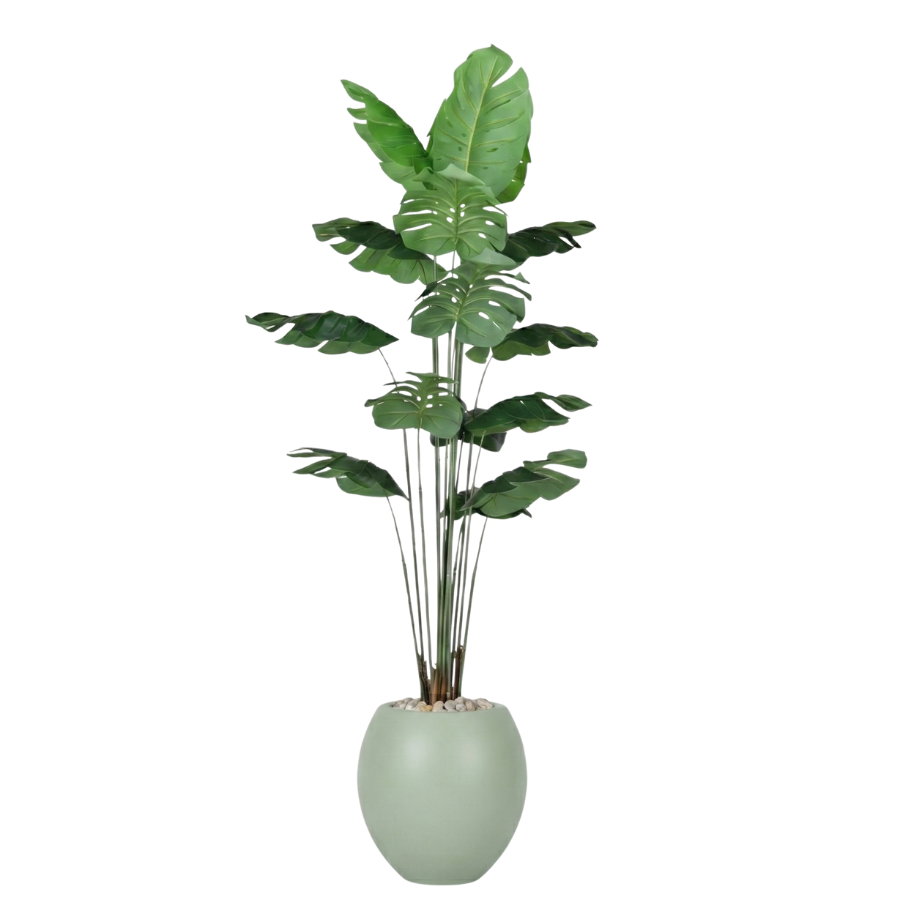Artificial Monstera Tree with Paula Pot