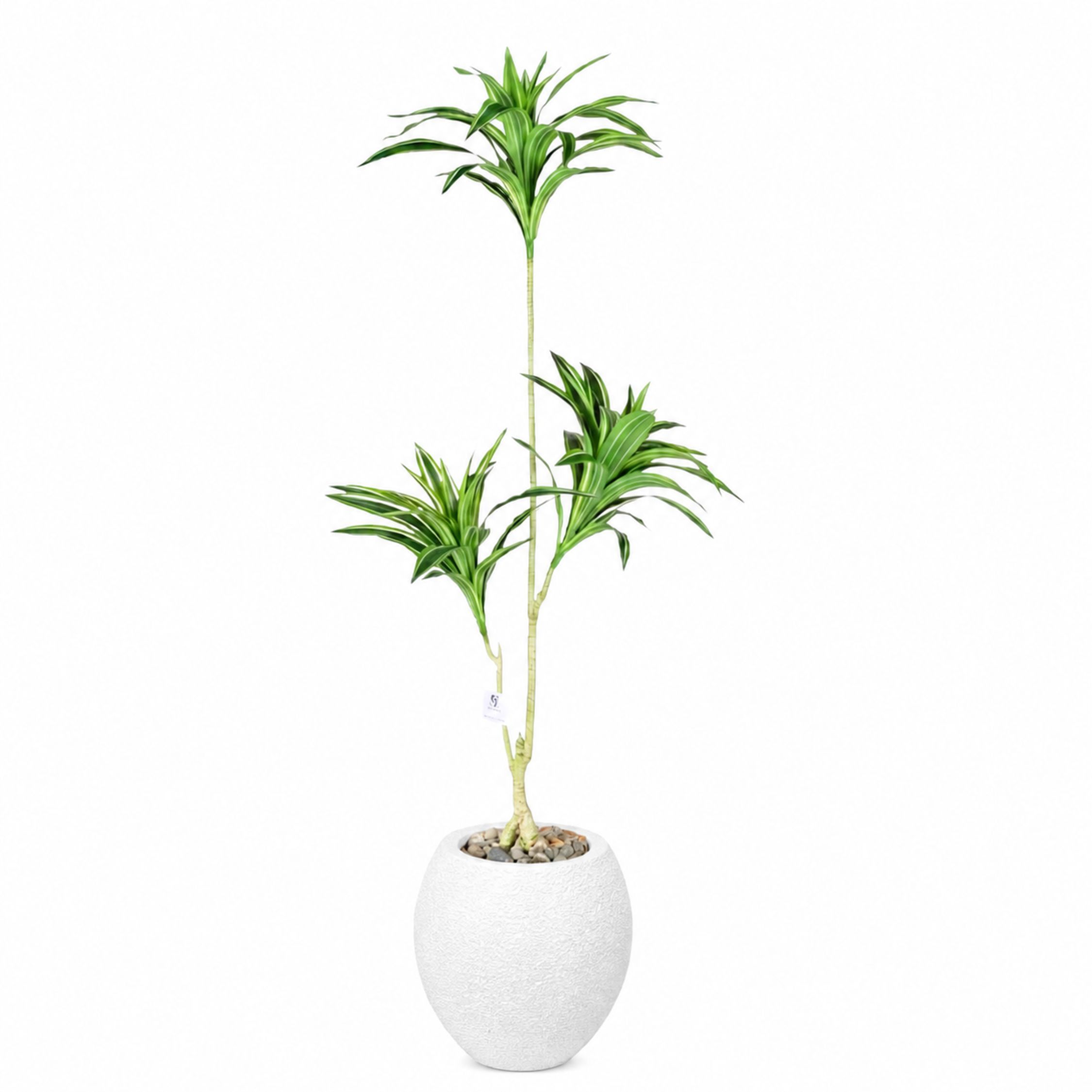 Artificial Dracaena Song of India Tree