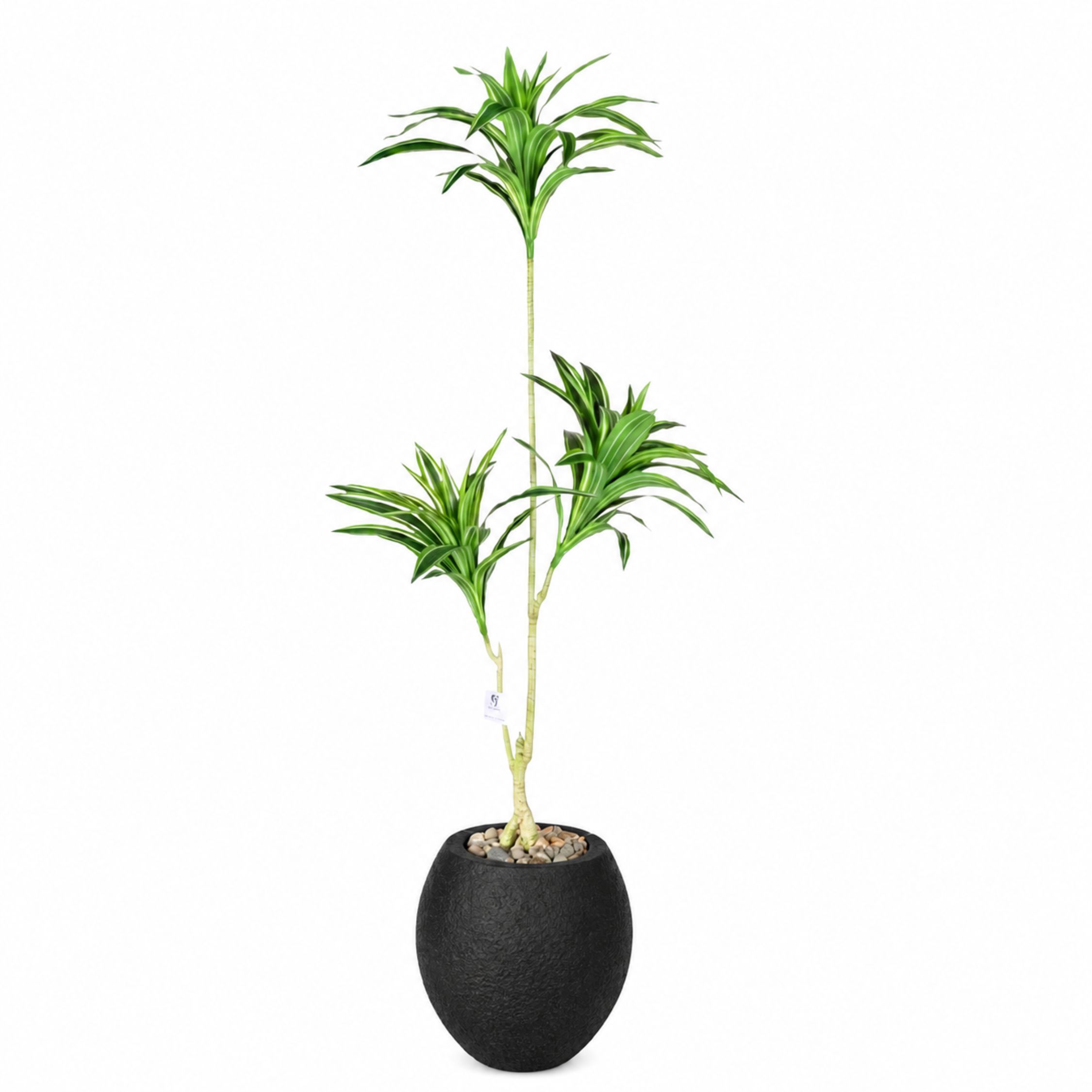 Artificial Dracaena Song of India Tree